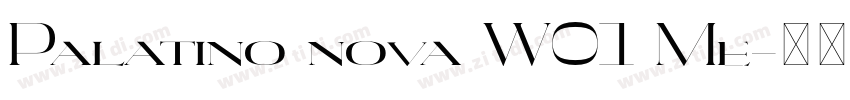 Palatino nova W01 Me字体转换 Palatino nova W01 Me字体转换